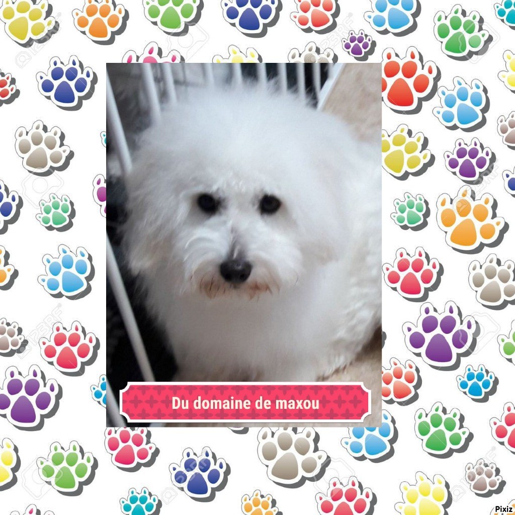 Miss molly De la vanille bourbon